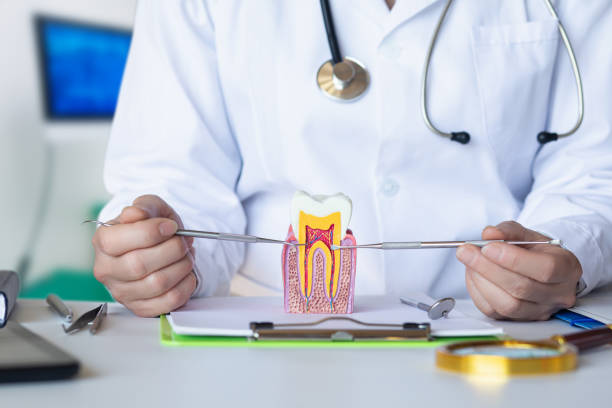 Best Weekend Emergency Dentist in Eldorado, IL